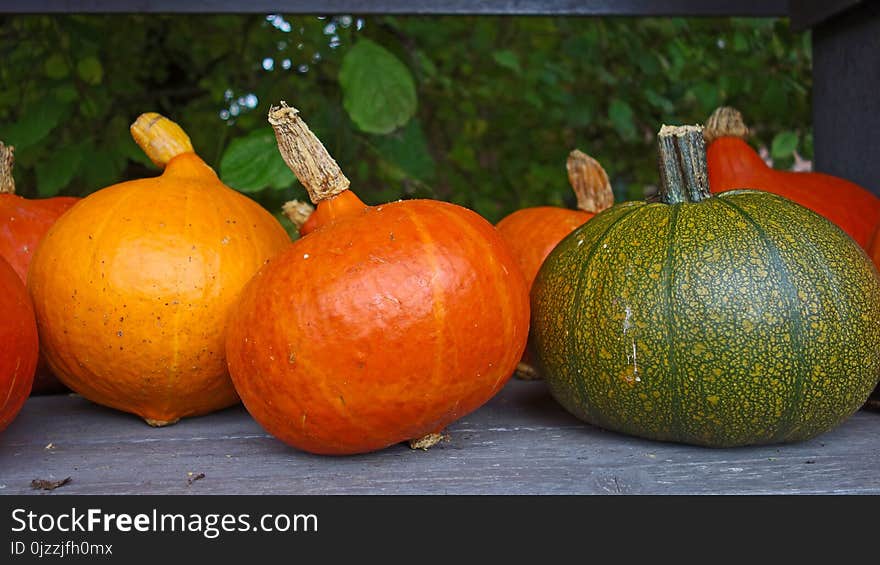 Vegetable, Winter Squash, Calabaza, Cucurbita