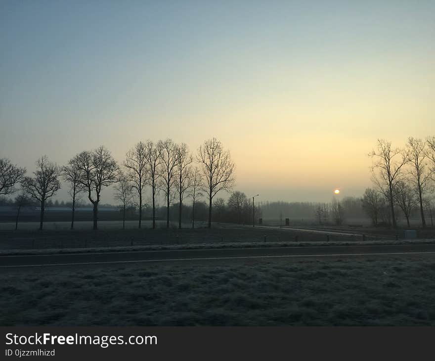 Sky, Dawn, Tree, Sunrise