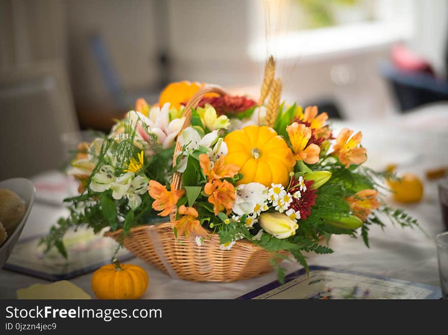 Flower, Flower Arranging, Floristry, Yellow