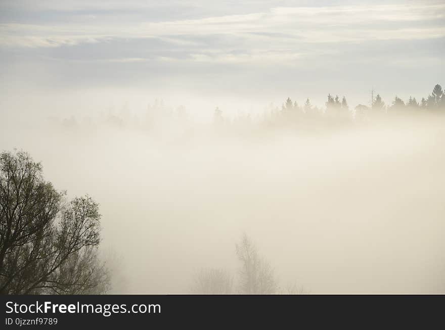 Fog, Sky, Mist, Morning