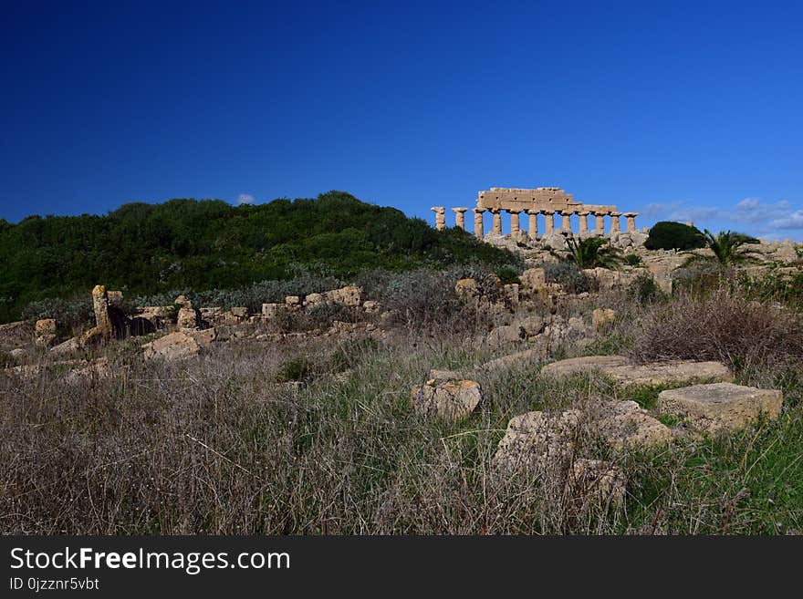 Sky, Ecosystem, Vegetation, Shrubland