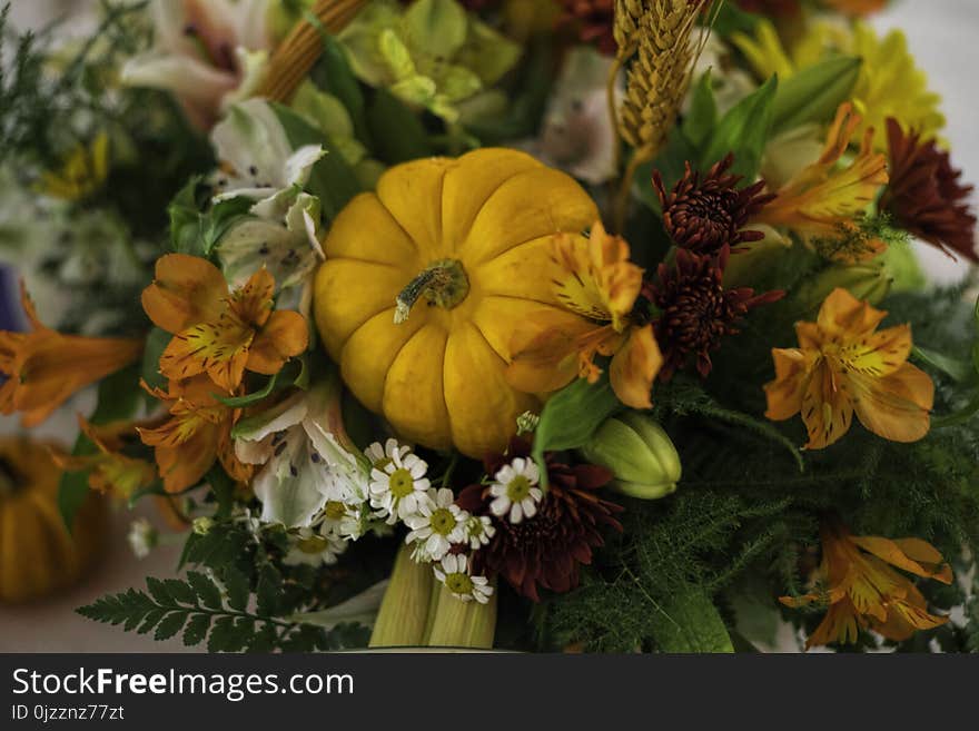 Flower, Floristry, Flower Arranging, Winter Squash