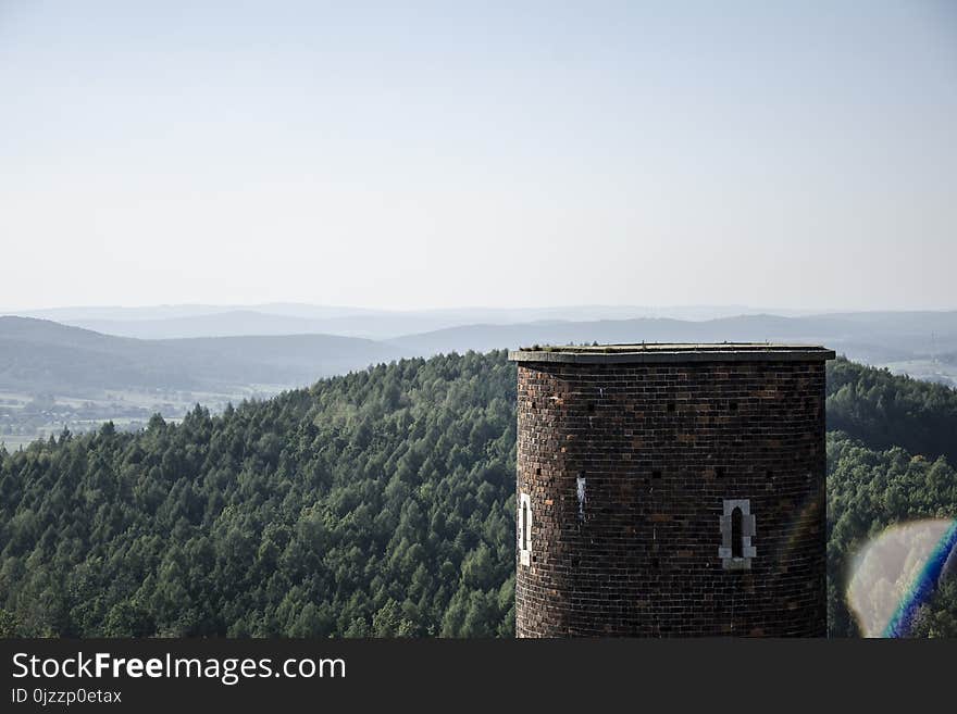 Sky, Mountainous Landforms, Tree, Mountain