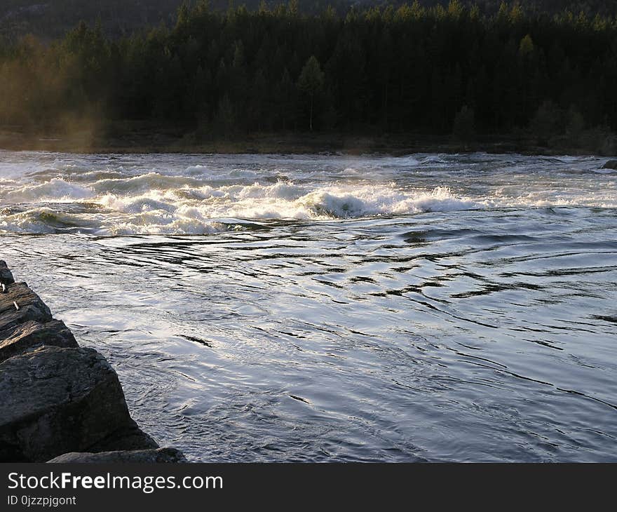 River, Water, Rapid, Body Of Water