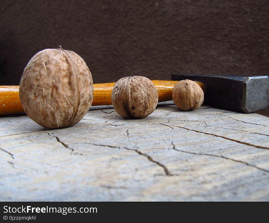 Wood, Winter Squash, Still Life Photography