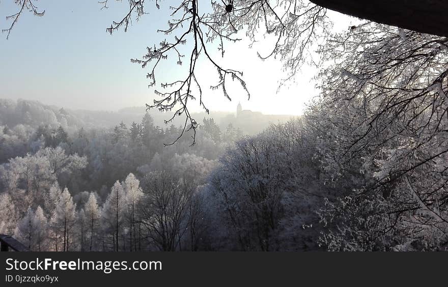 Sky, Winter, Tree, Frost