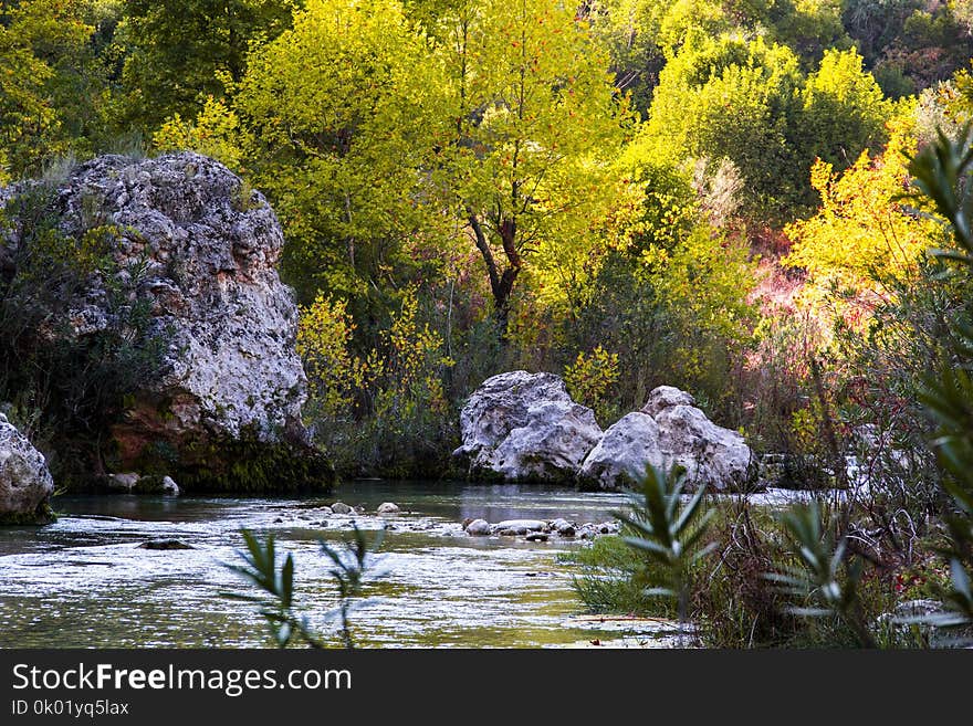 Mysterious mountainous jungle with trees leaning over fast stream with rapids. Magical scenery of rainforest and river with rocks. Wild, vivid vegetation of tropical forest. Mysterious mountainous jungle with trees leaning over fast stream with rapids. Magical scenery of rainforest and river with rocks. Wild, vivid vegetation of tropical forest.