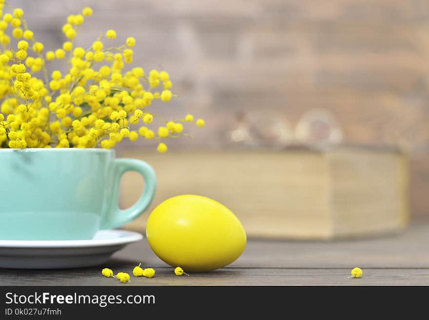 Easter egg and spring flowers