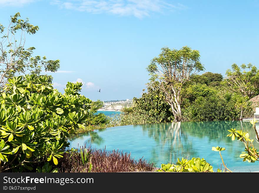 Body of Water Near Trees Under Blue Sky at Daytime