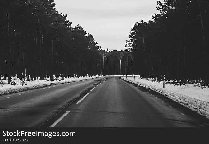 Monochrome Photography of Roadway During Winter