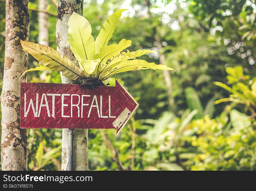 Waterfall Signage