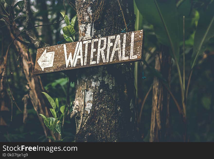 Brown Wooden Waterfall Direction Sign Placed on Brown Tree Bark