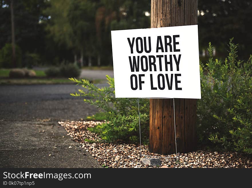 You Are Worthy of Love Signage on Brown Wooden Post Taken