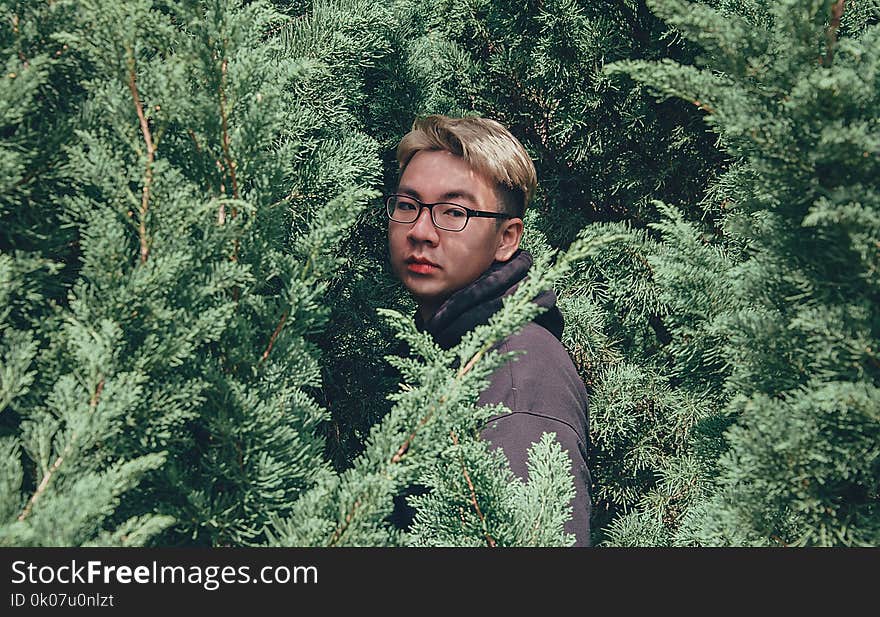 Photography of Man Between Pine Trees