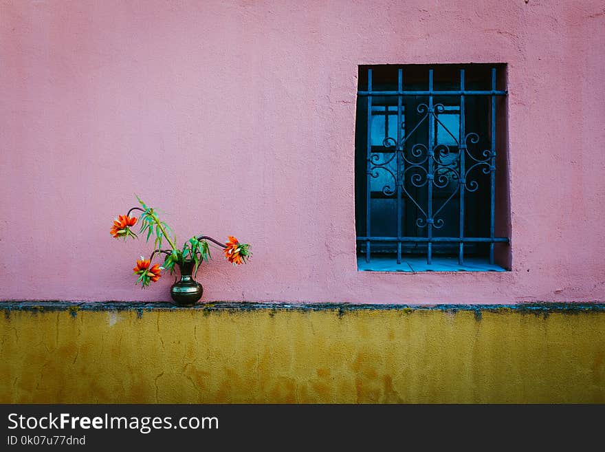 Blue Steel Window Frame