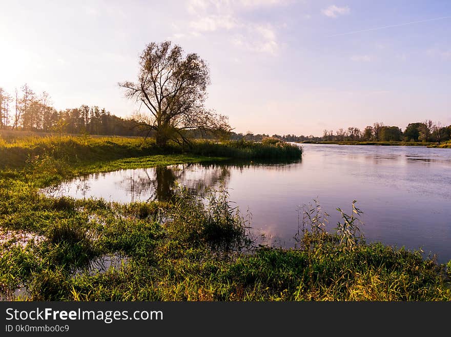 Body of Water and Green Plants Under Blue Sky