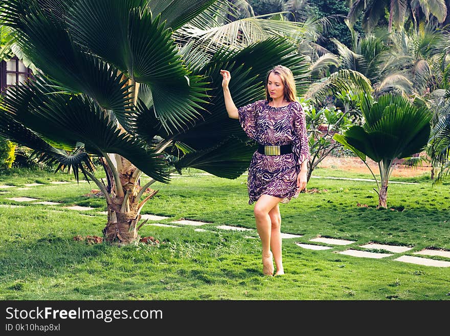 Girl on the background of a palm tree.