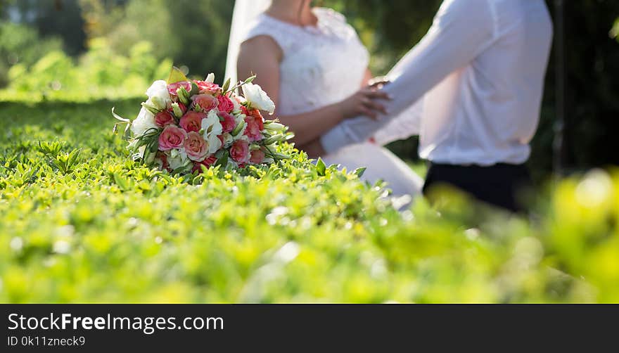 Newlyweds walk in the park in spring. Newlyweds walk in the park in spring