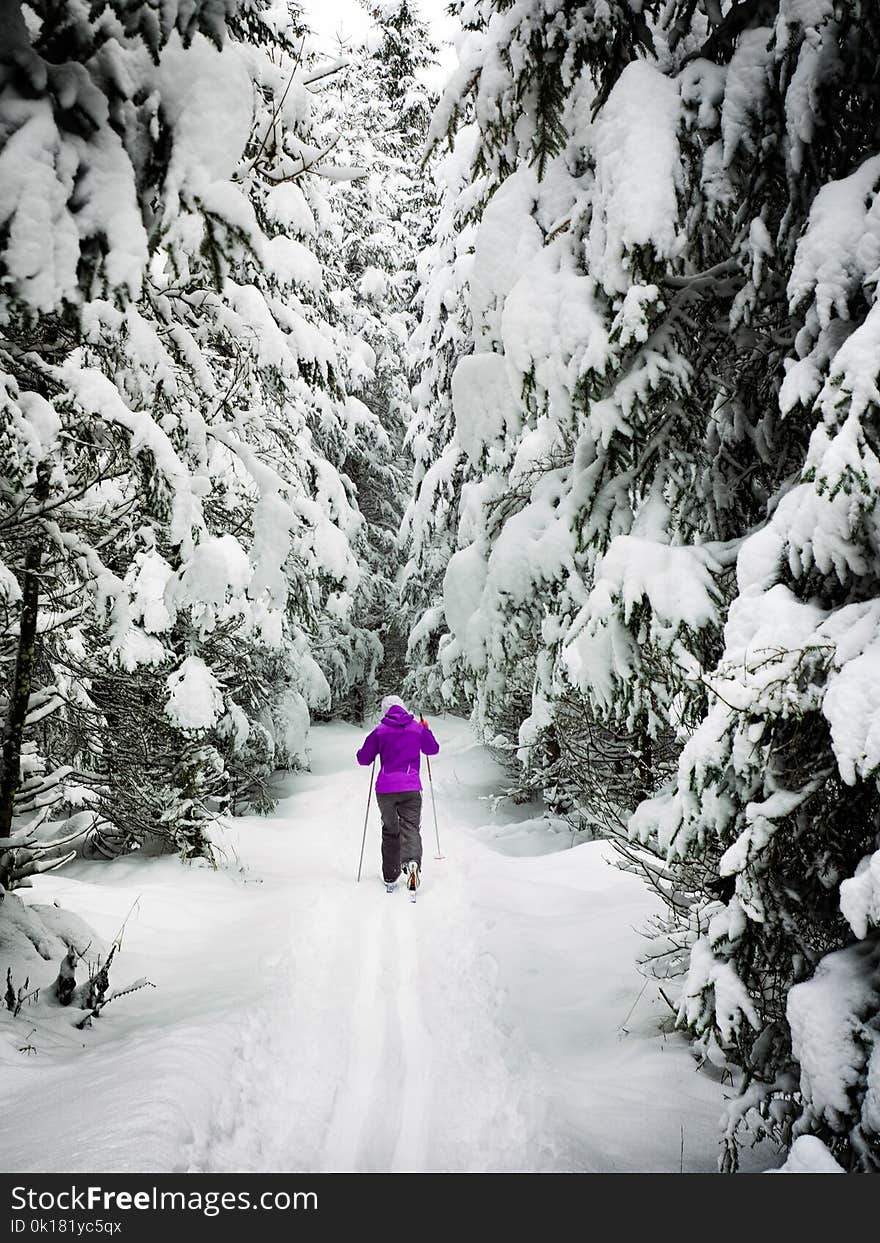 Woman on Snow Ground in the Forest With Rods