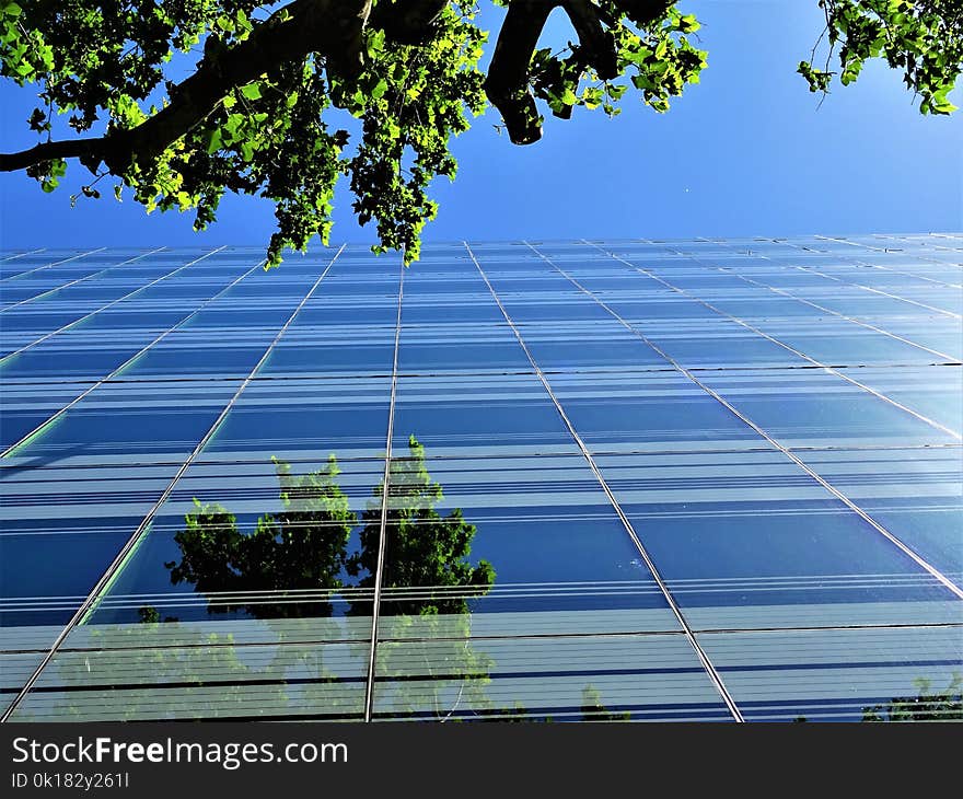 Low Angle Photography of Building Near Tree