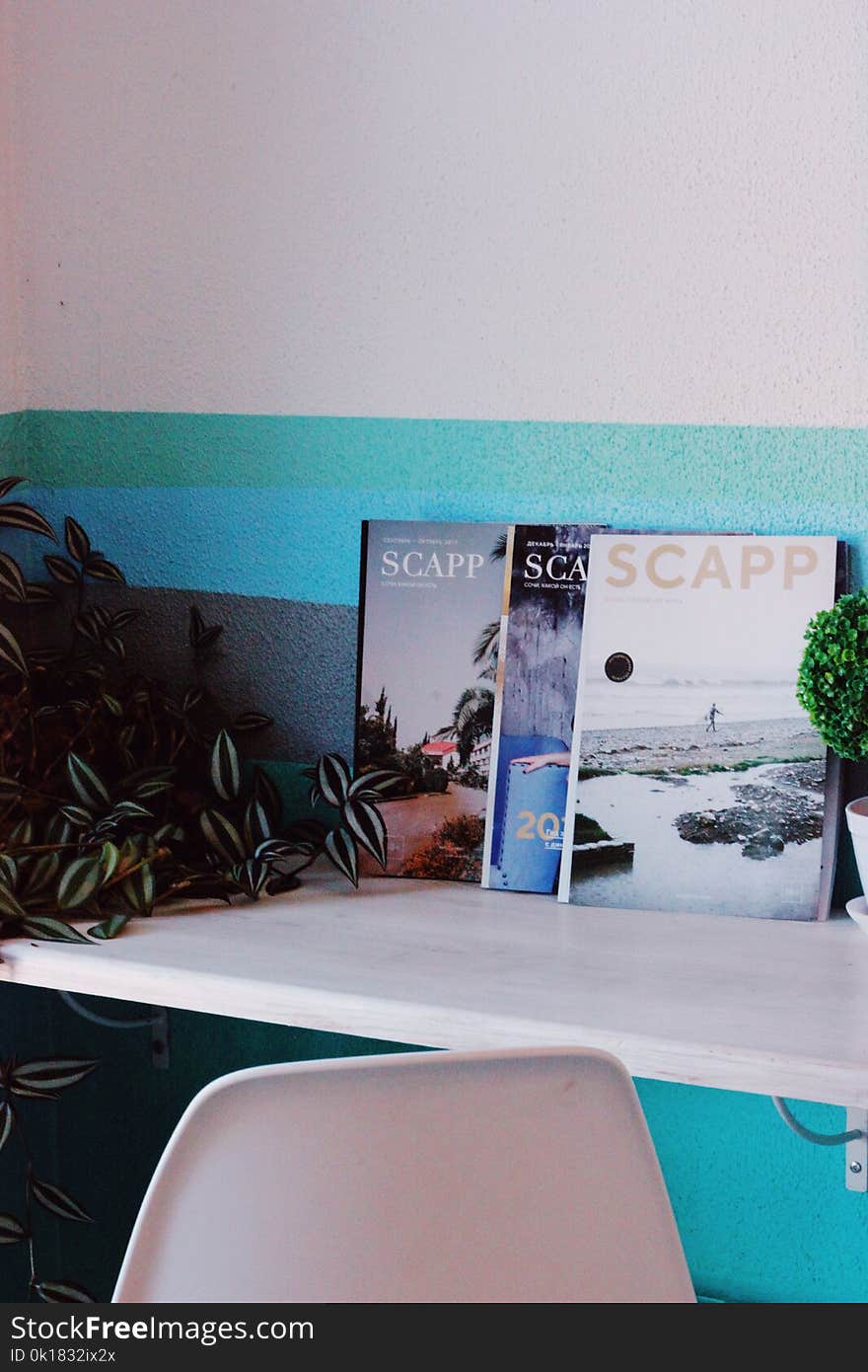 Scapp Magazine on Table