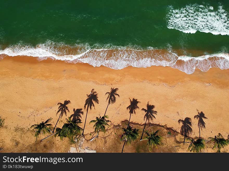 Bird&#x27;s Eye View of Ocean