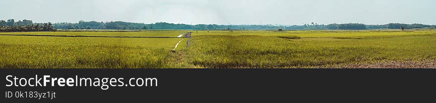 Panoramic Photo of Farm