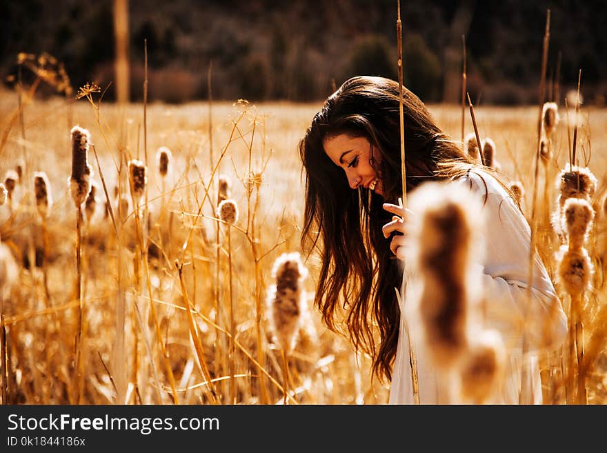 Woman in White Long-sleeved Shirt Walking on Brown Wheat Field