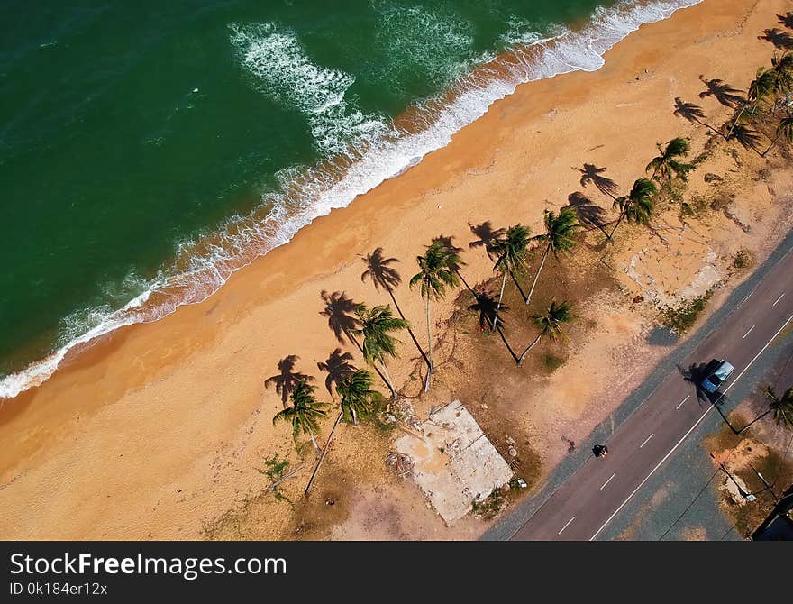 Bird&#x27;s Eye View of Seashore