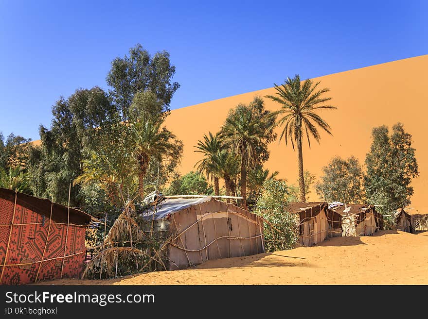 Bedouin tents and trees in the desert