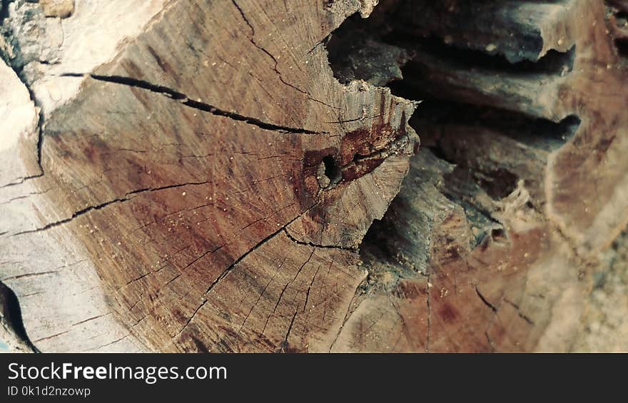 Wood, Geology, Rock, Texture