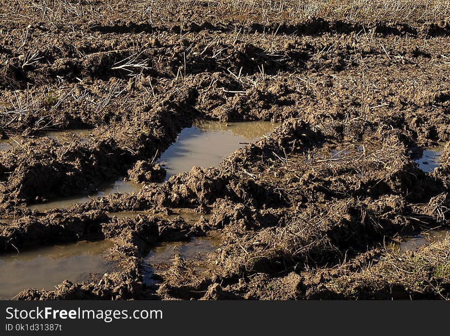 Water, Soil, Wetland, Bank