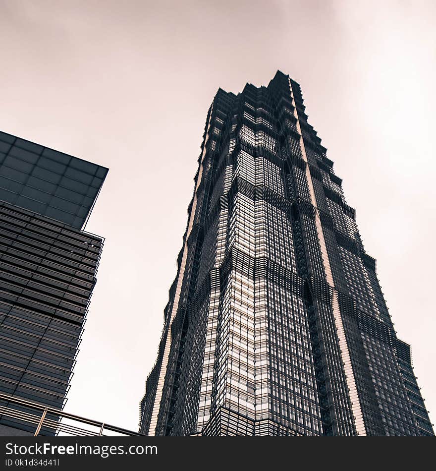 Building, Skyscraper, Metropolitan Area, Landmark