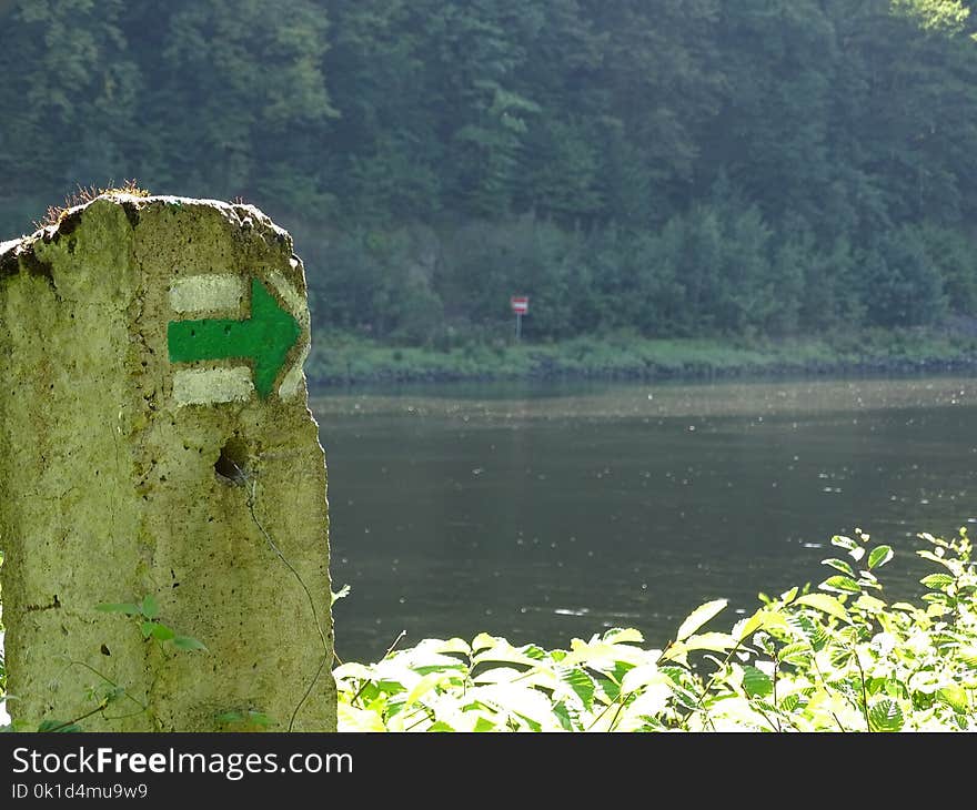 Green, Water, Vegetation, Nature Reserve