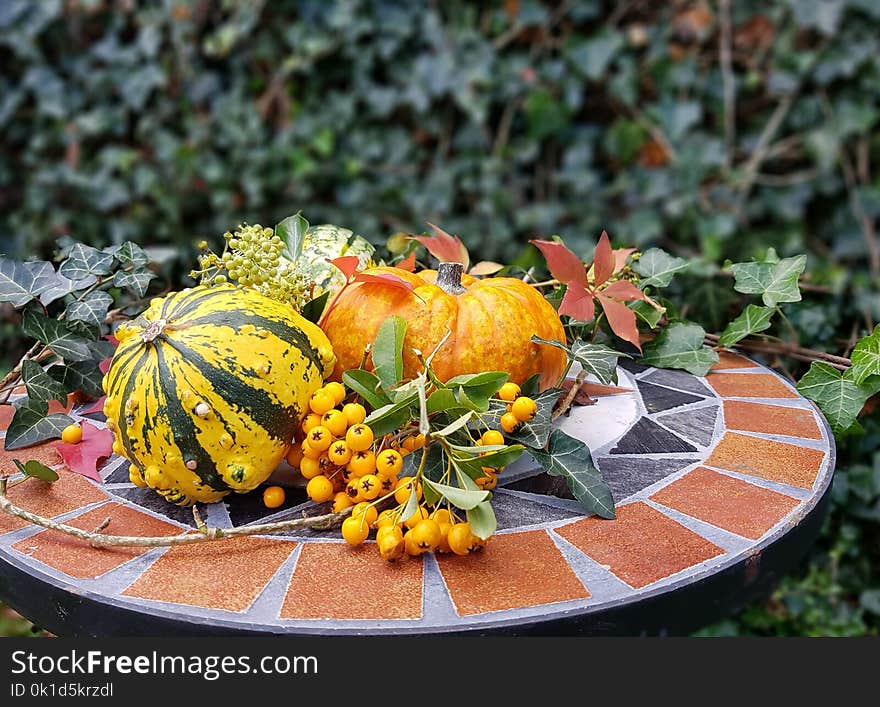 Vegetable, Cucurbita, Winter Squash, Local Food