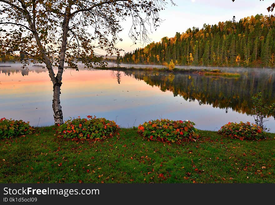 Reflection, Nature, Lake, Water