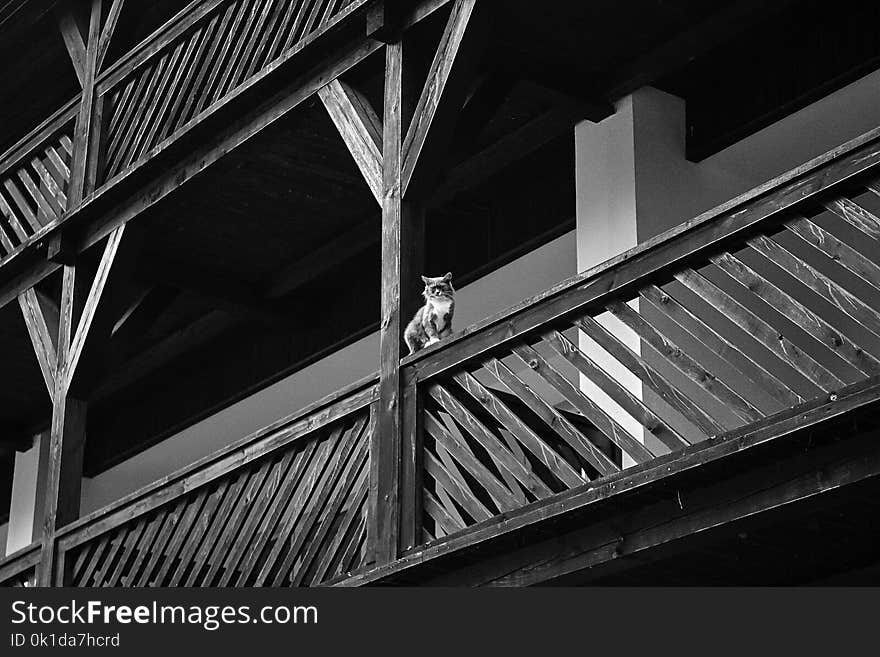 Black, Black And White, Monochrome Photography, Structure