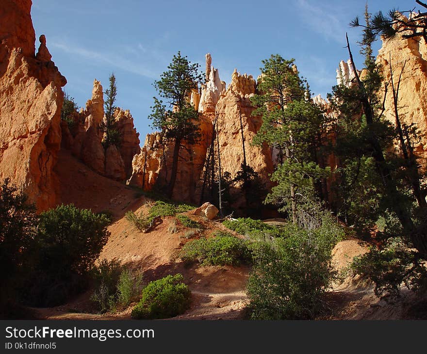 Canyon, Wilderness, Rock, Nature Reserve