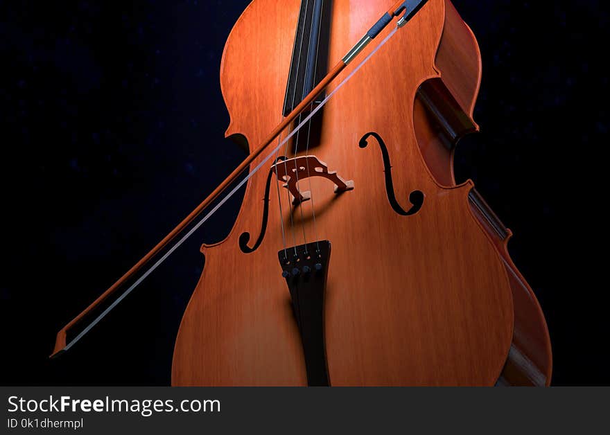 Musical Instrument, Cello, Double Bass, Violin Family