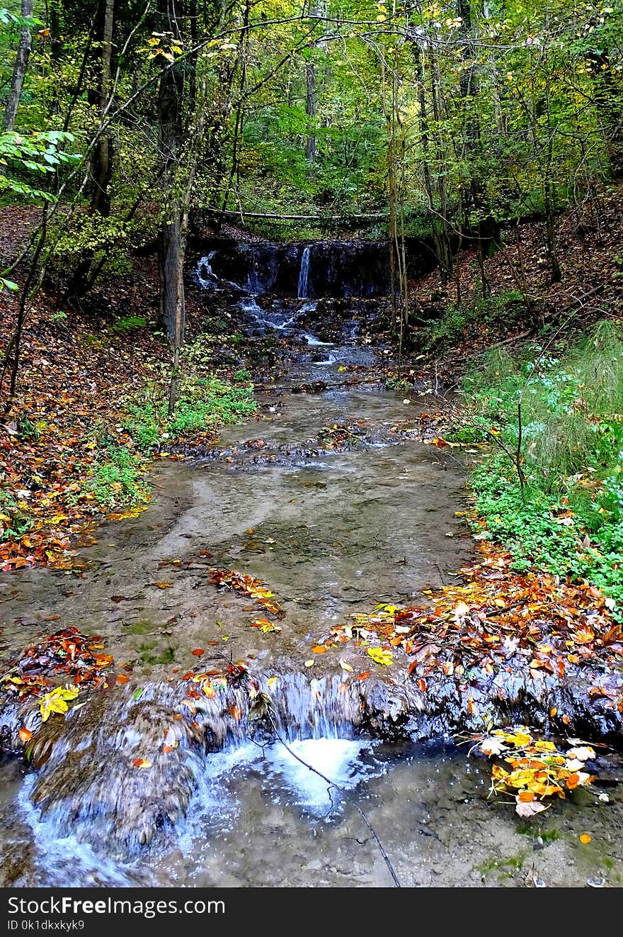 Water, Stream, Nature, Body Of Water