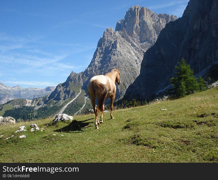 Mountainous Landforms, Mountain Range, Mountain, Pasture