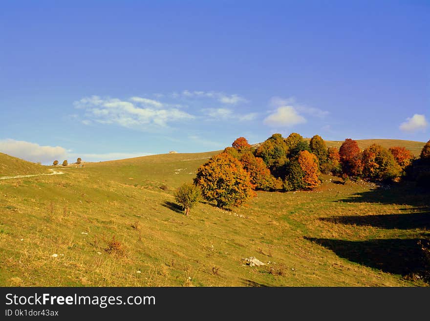 Grassland, Sky, Highland, Ecosystem