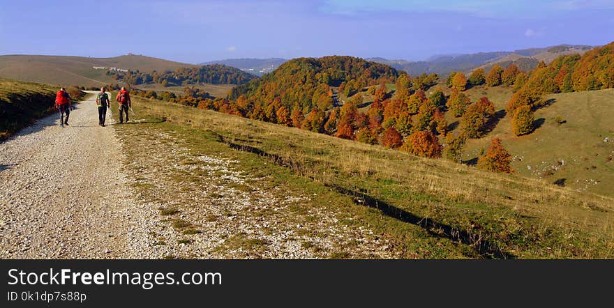 Ridge, Wilderness, Chaparral, Path