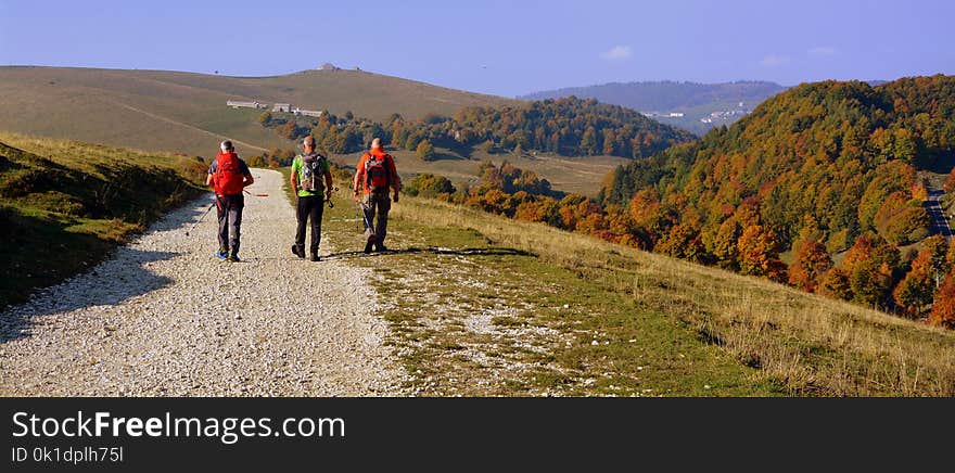 Wilderness, Nature, Path, Ridge