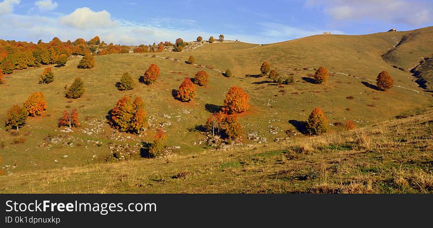 Ecosystem, Wilderness, Shrubland, Grassland