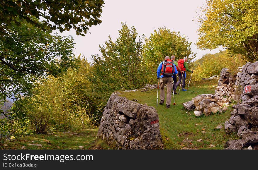 Land Vehicle, Path, Mountain Bike, Cycle Sport