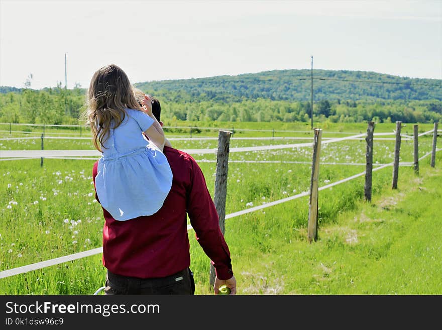 Photograph, Green, Nature, Grassland