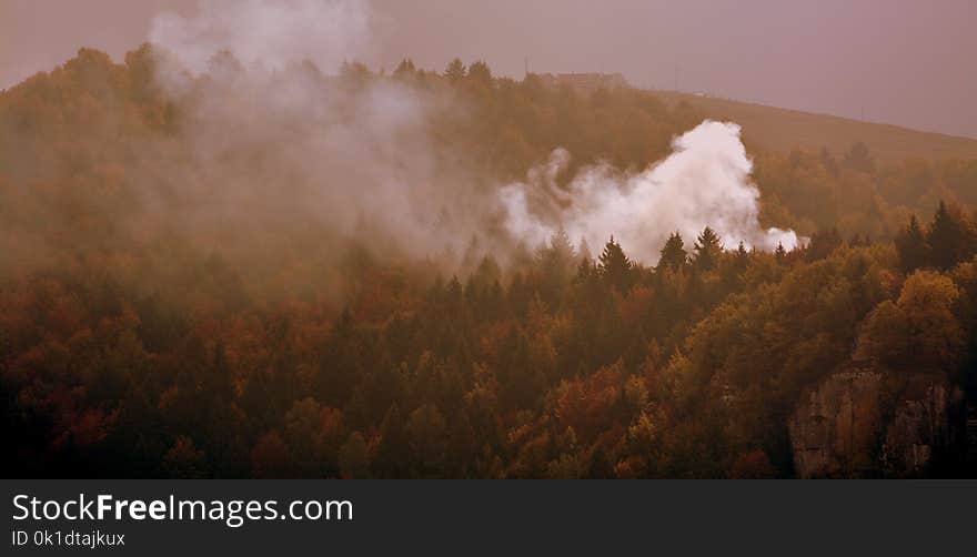 Wildfire, Sky, Mist, Atmosphere