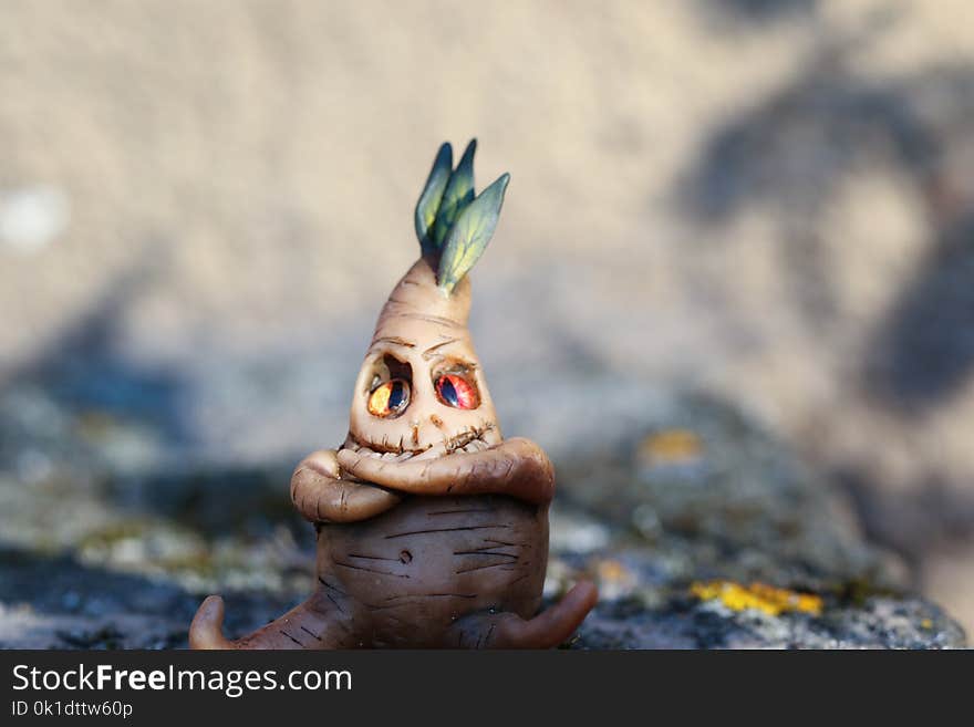 Close Up, Plant, Grass, Lawn Ornament