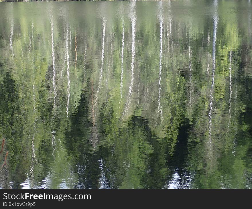 Reflection, Water, Green, Nature